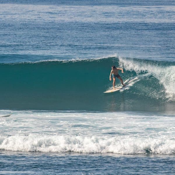 Surfer riding a wave at Greenbowl.