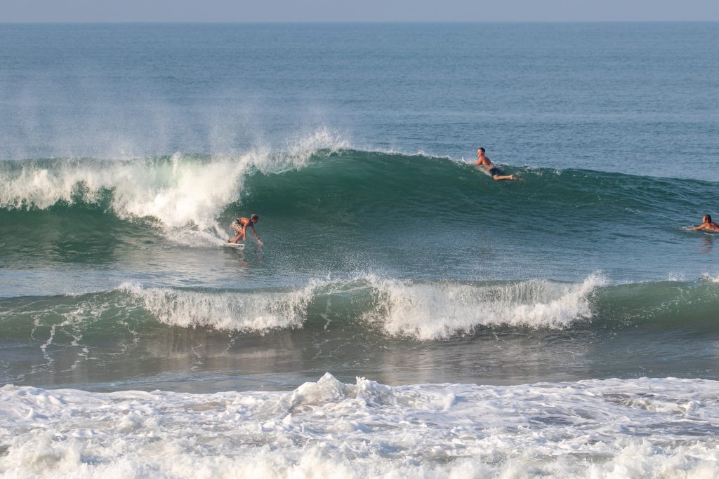 Grom doing a bottom turn at the Sandbar.